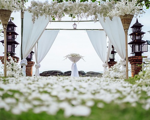 Wedding & Meeting