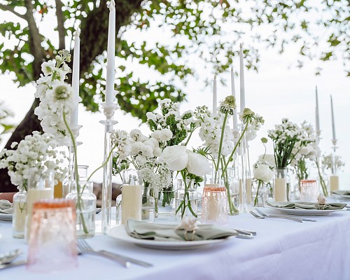 Wedding & Meeting