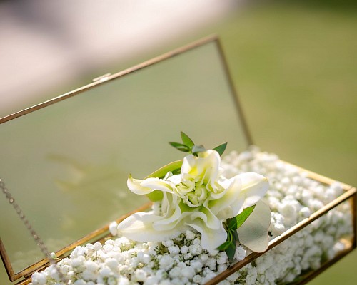 Wedding & Meeting