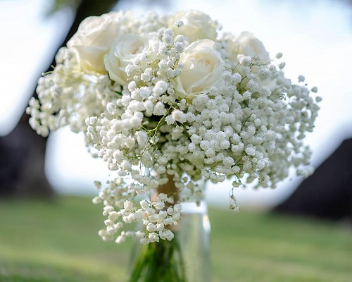 Wedding & Meeting